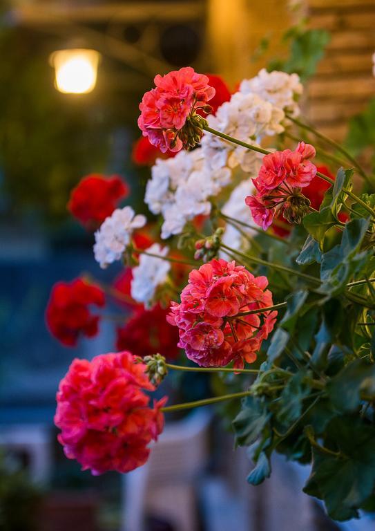 Hotel La Rosa Ronta 外观 照片